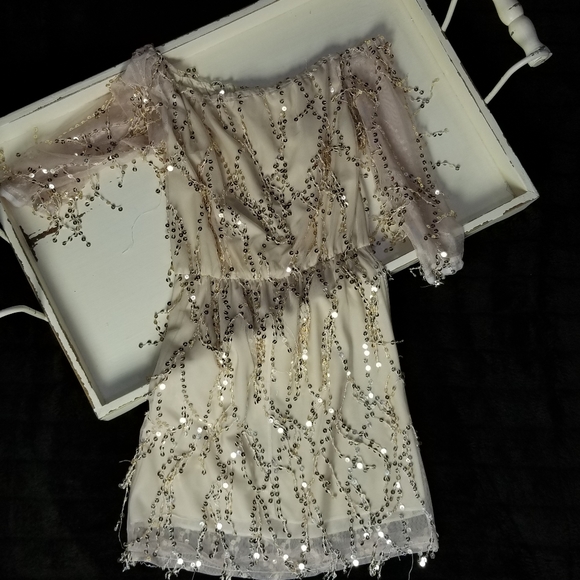 Sequin Dress. - Picture 3 of 3